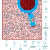 Dedektifler İçin Hidden Pictures Puzzle - 4. görsel